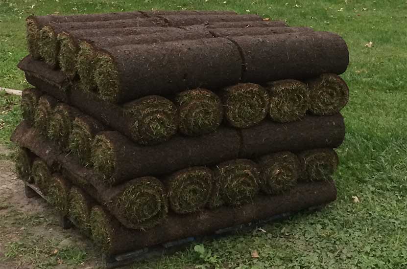 our farm small rolls