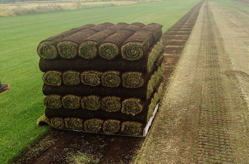 our farm turf rolls